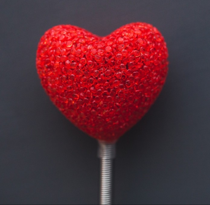 blog-coup coeur janvier blog-coup coeur janvier