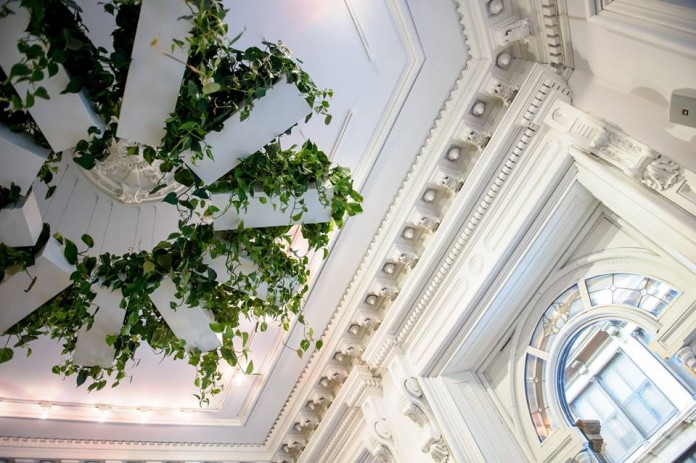 5-cafe-branches-montreal-une 5-cafe-branches-montreal-une