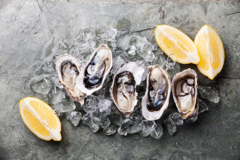 oystermania-une