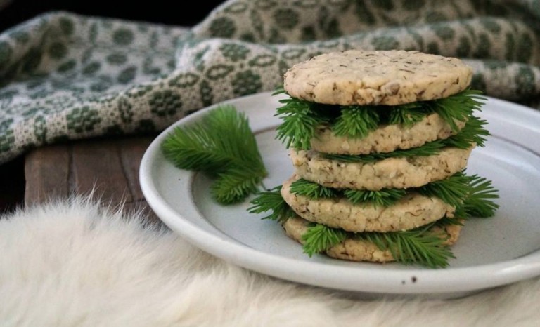 manger-sapin-une