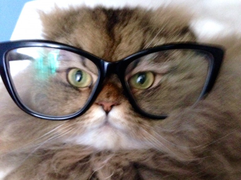 blog-bonlook-lunettes