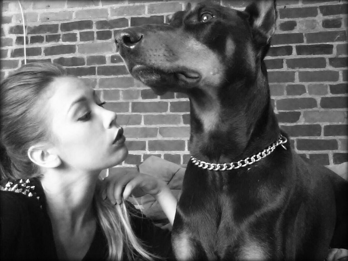 blog-chien-mon-amour blog-chien-mon-amour