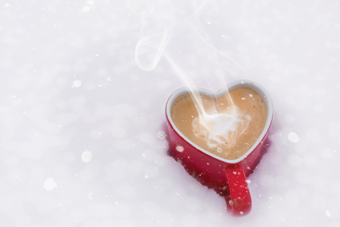 blog-coup-coeur-fevrier blog-coup-coeur-fevrier