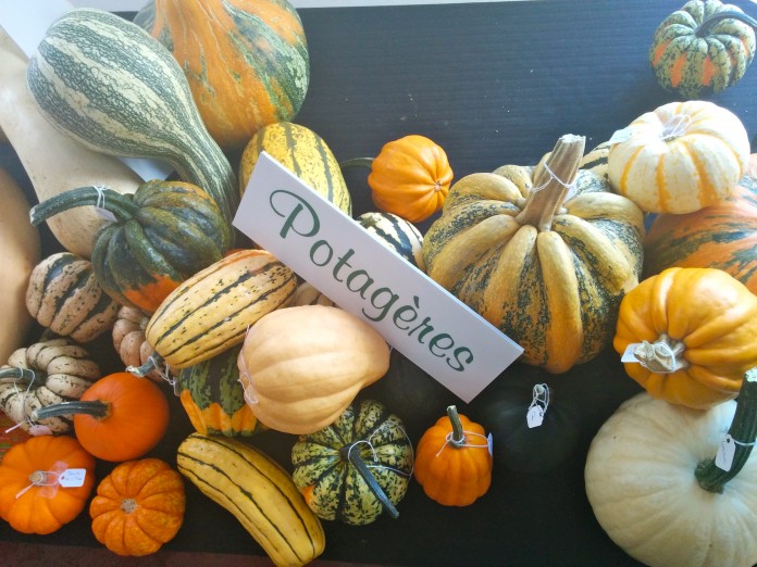 blog-courges-homa