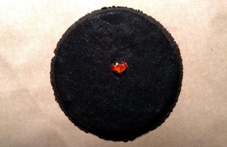 biscuit-plus-fort-monde-piment-carolina-reaper