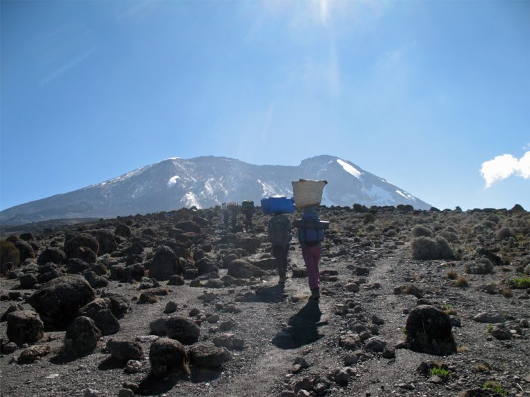 J’ai (presque) grimpé le Kilimandjaro – Partie 2