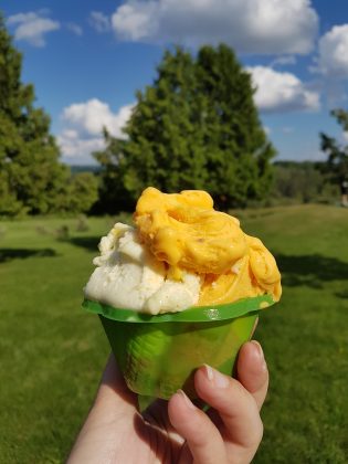 cr&egrave;me glac&eacute;e Argousier
