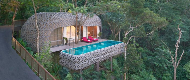 Plus belles cabanes dans les arbres au monde