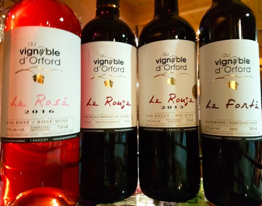 vignoble, vins