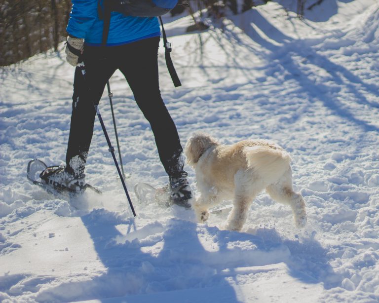 La raquette: le sport le plus facile et agréable de l&rsquo;hiver