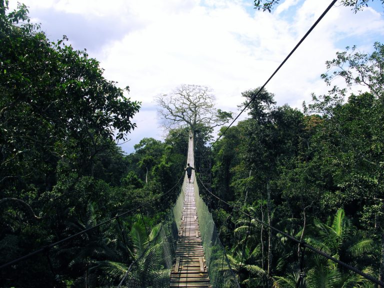 les ponts suspendus à Puerto Maldonado