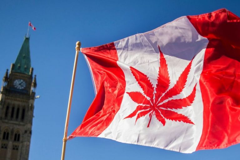 Quel est l&rsquo;effet du cannabis sur vous ?