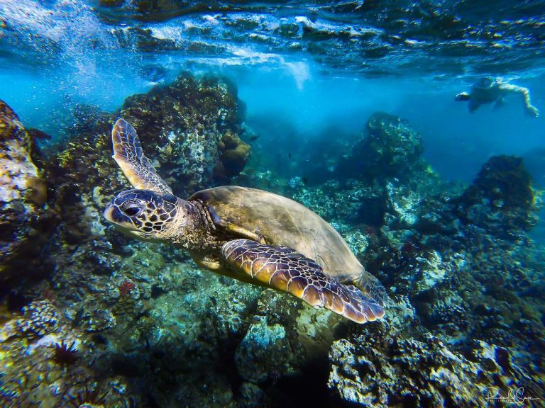 Hawaii – 5 activités incontournables sur l&rsquo;île de Kauai