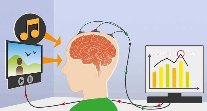 neurofeedback-schema