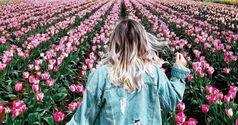Prendre un bain de Tulipes au Festival d’Ottawa!