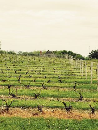 Mont&eacute;r&eacute;gie