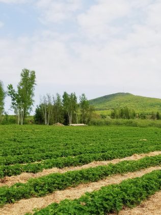 Mont&eacute;r&eacute;gie