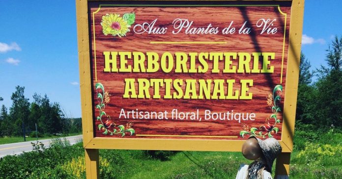 herboristerie 2
