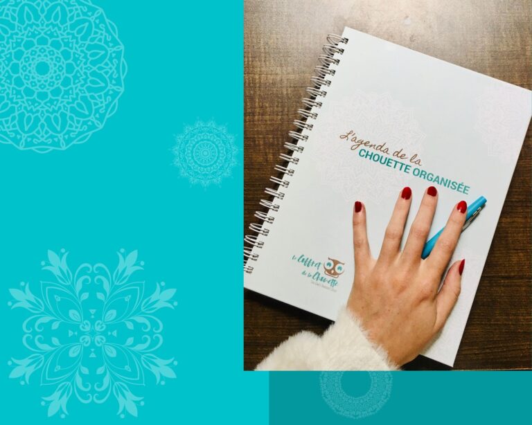 l'agenda de la chouette organisée