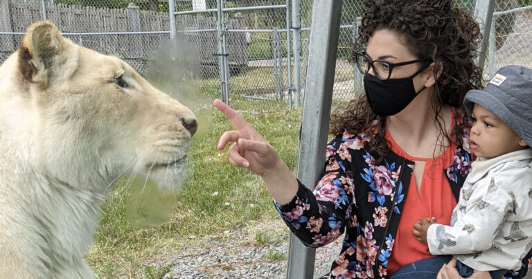 Parc Safari + Cool Box = FUN!