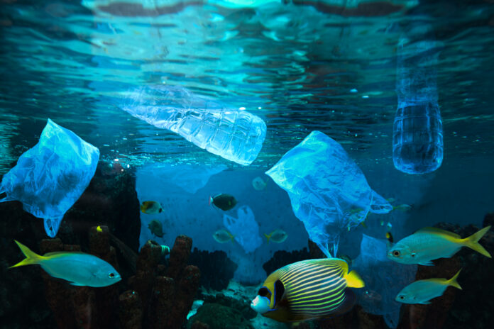 Environmental pollution of plastic water bottle in the ocean