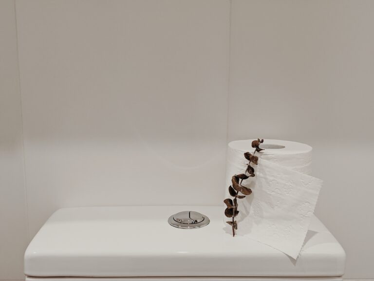 Comment aménager une petite toilette