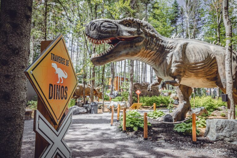 Woodooliparc : l&rsquo;activité par excellence pour les fans de dinosaures!