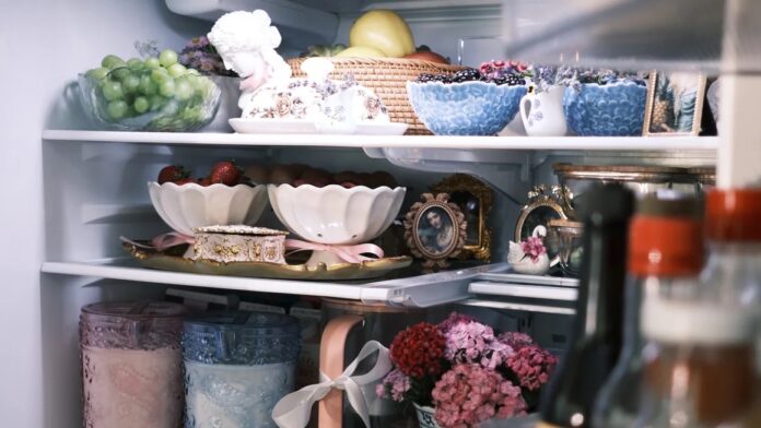 fridgescaping-tendance tiktok-cover